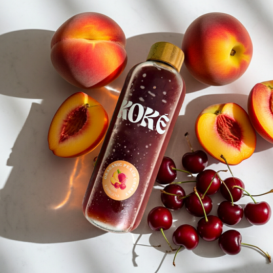 CERIA Kombucha 500ml