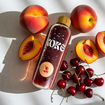 CERIA Kombucha 500ml